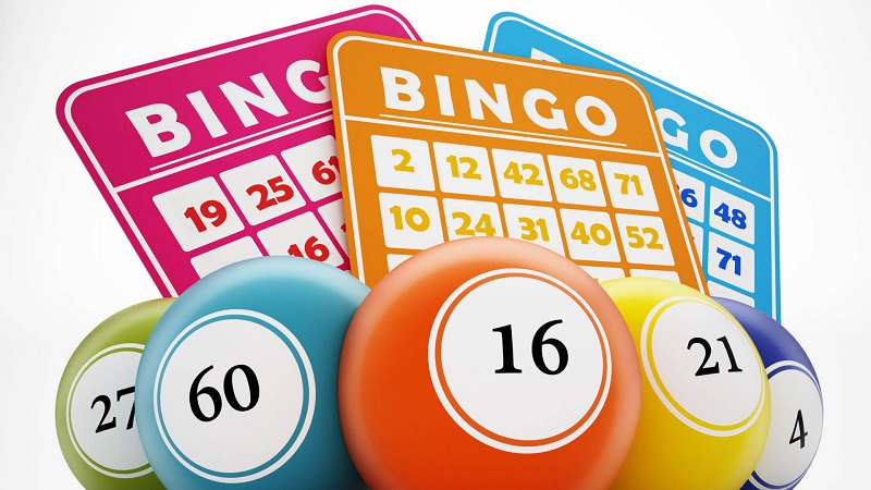 New bingo sites november 2019 2020